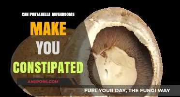 Can Portabella Mushrooms Cause Constipation? Exploring Digestive Effects