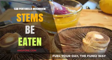 Can You Eat Portobello Mushroom Stems? A Tasty Guide
