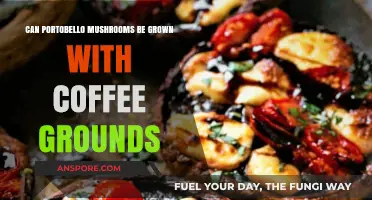 Growing Portobello Mushrooms with Coffee Grounds: A Sustainable Gardening Guide