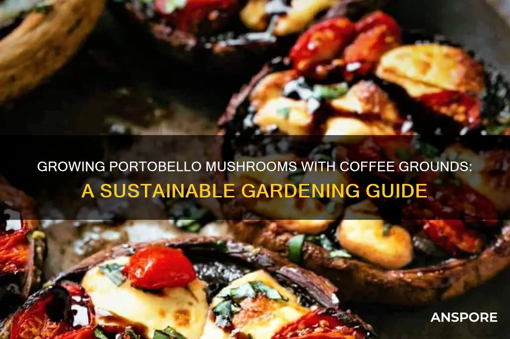 can portobello mushrooms be grown with coffee grounds