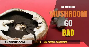 Do Portobello Mushrooms Spoil? Shelf Life and Storage Tips