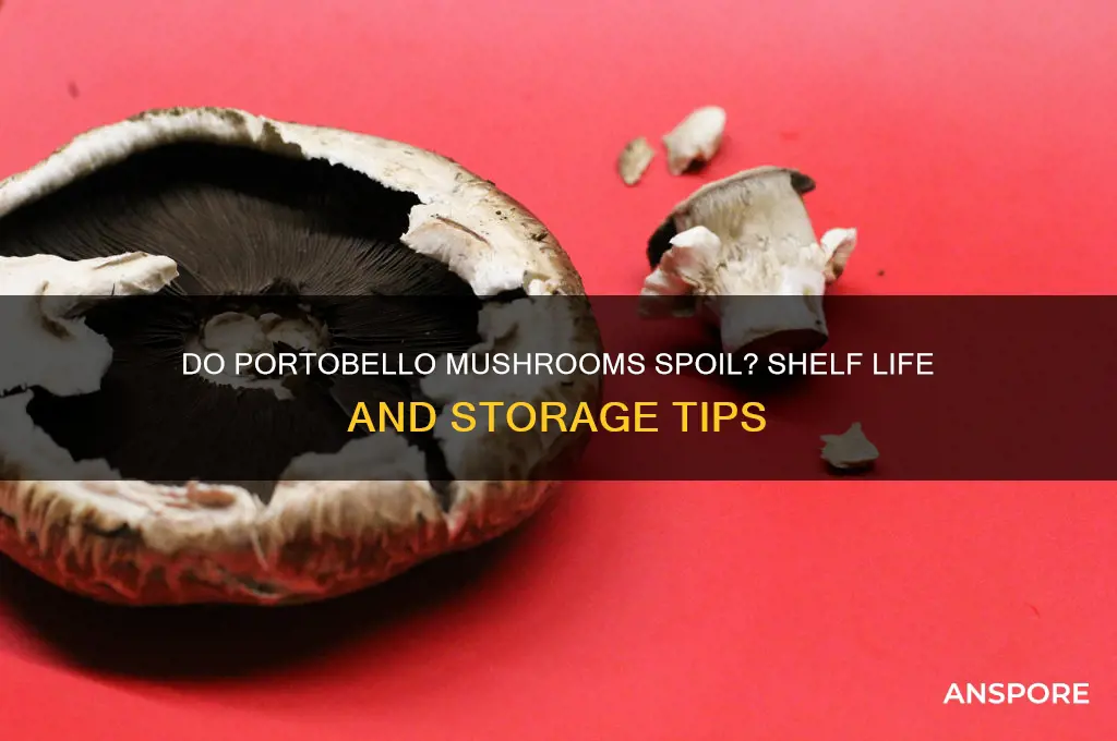 can portobello mushrooms go bad