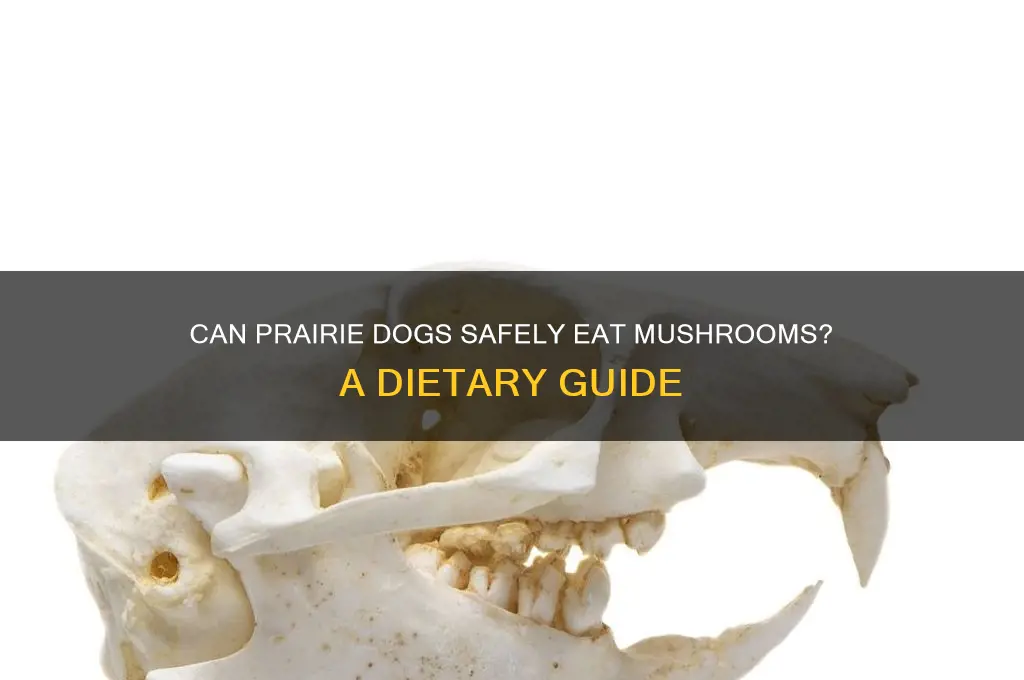 can prairie dogs eat mushrooms