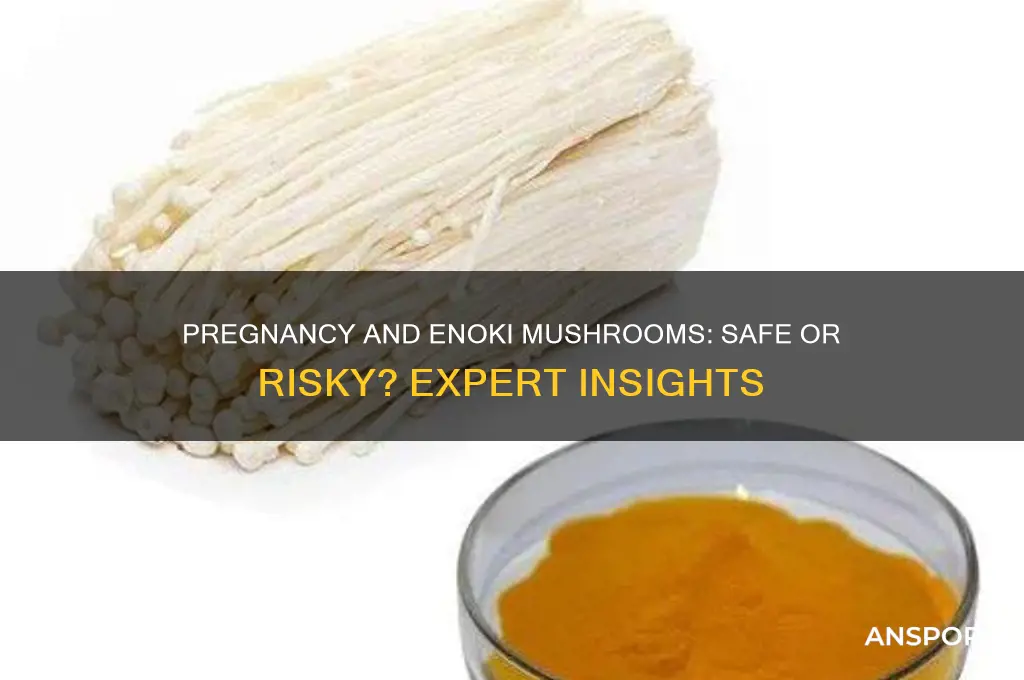 can pregnant eat enoki mushroom