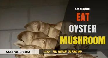Pregnant and Curious: Are Oyster Mushrooms Safe to Eat?