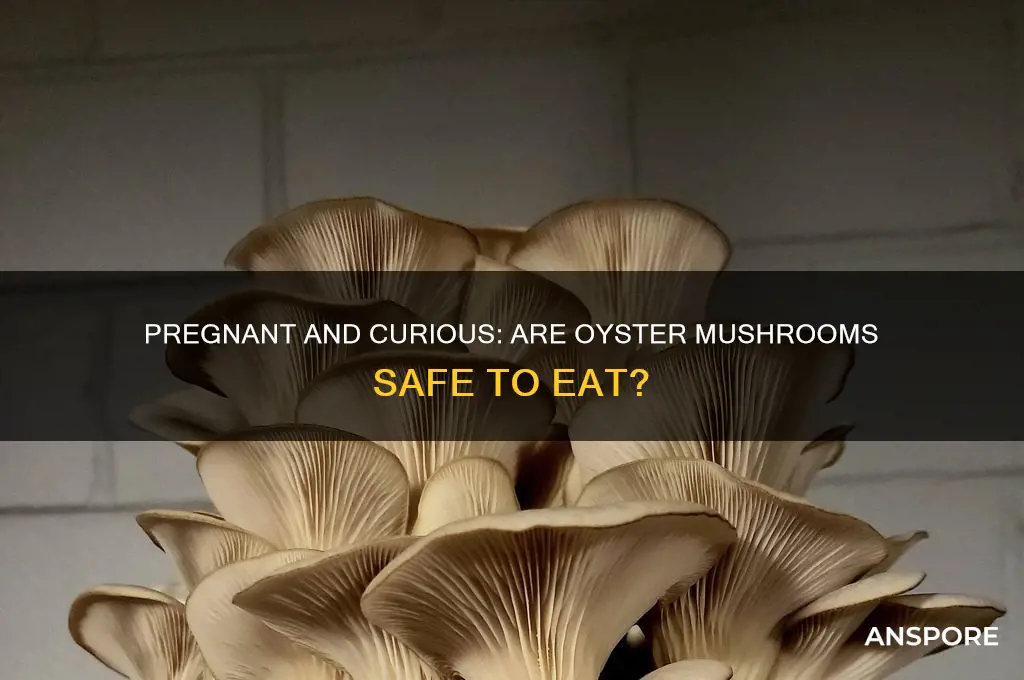 can pregnant eat oyster mushroom