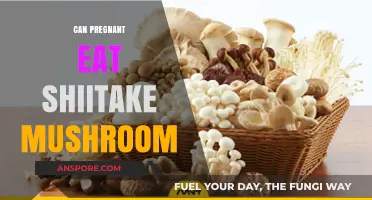 Pregnancy and Shiitake Mushrooms: Safe or Risky? Expert Insights