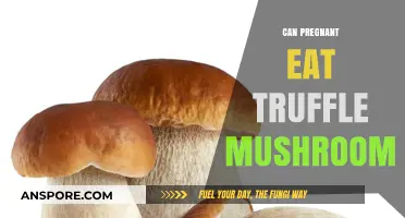 Pregnant and Curious: Is Truffle Mushroom Safe to Eat?