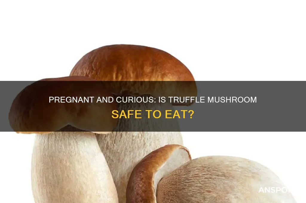 can pregnant eat truffle mushroom