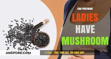 Pregnant and Wondering: Are Mushrooms Safe During Pregnancy?