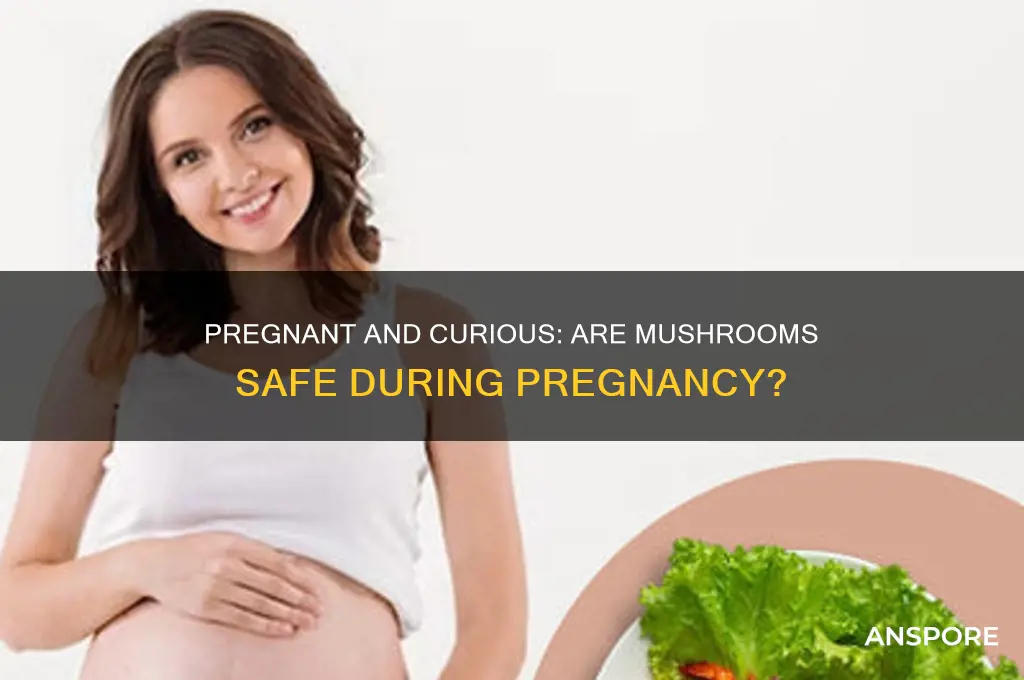 can pregnant lady eat mushroom
