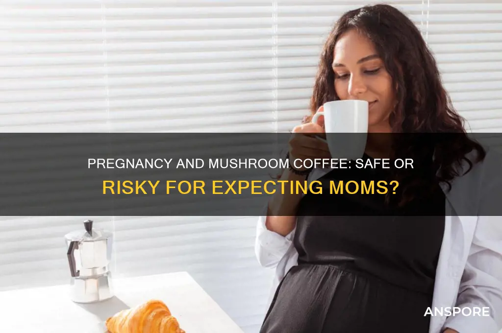 can pregnant woman drink mushroom coffee