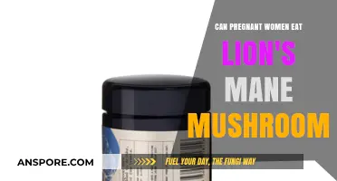 Pregnant Women and Lion's Mane Mushrooms: Safe or Risky?