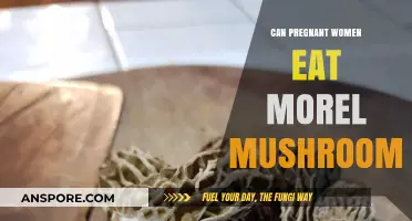 Pregnant Women and Morel Mushrooms: Safe or Risky to Eat?