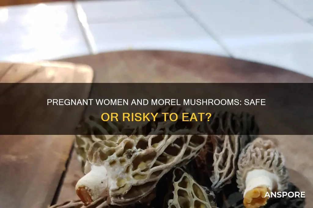 can pregnant women eat morel mushrooms