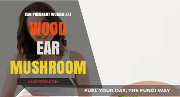Pregnant Women and Wood Ear Mushrooms: Safe or Risky?