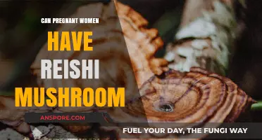 Is Reishi Mushroom Safe for Pregnant Women? Expert Insights