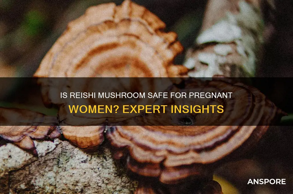 can pregnant women have reishi mushroom