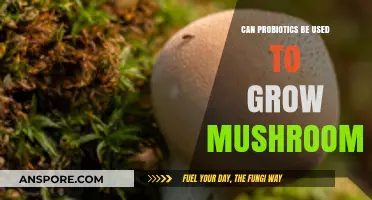 Probiotics and Mushroom Cultivation: Unlocking Growth Potential with Beneficial Bacteria
