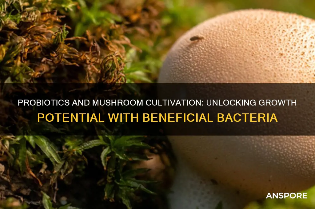 can probiotics be used to grow mushrooms