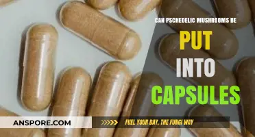 Can Psychedelic Mushrooms Be Safely Encapsulated for Consumption?