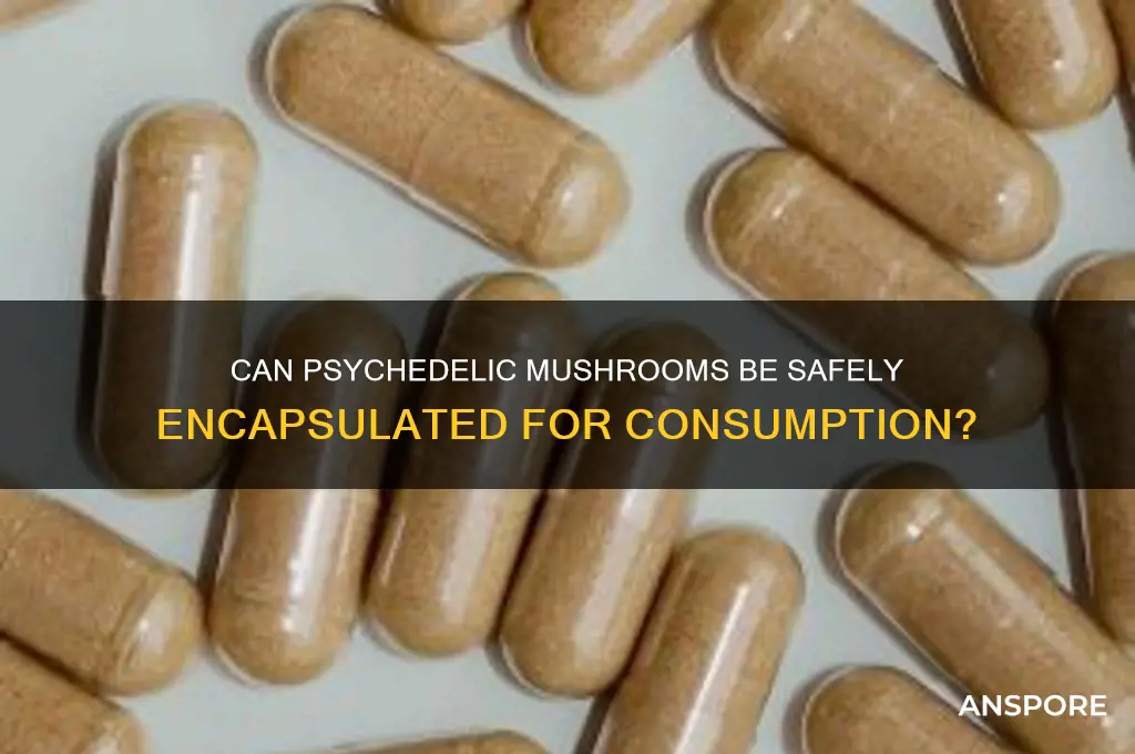 can pschedelic mushrooms be put into capsules