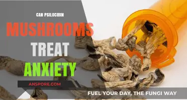 Psilocybin Mushrooms: A Potential Breakthrough for Anxiety Treatment?