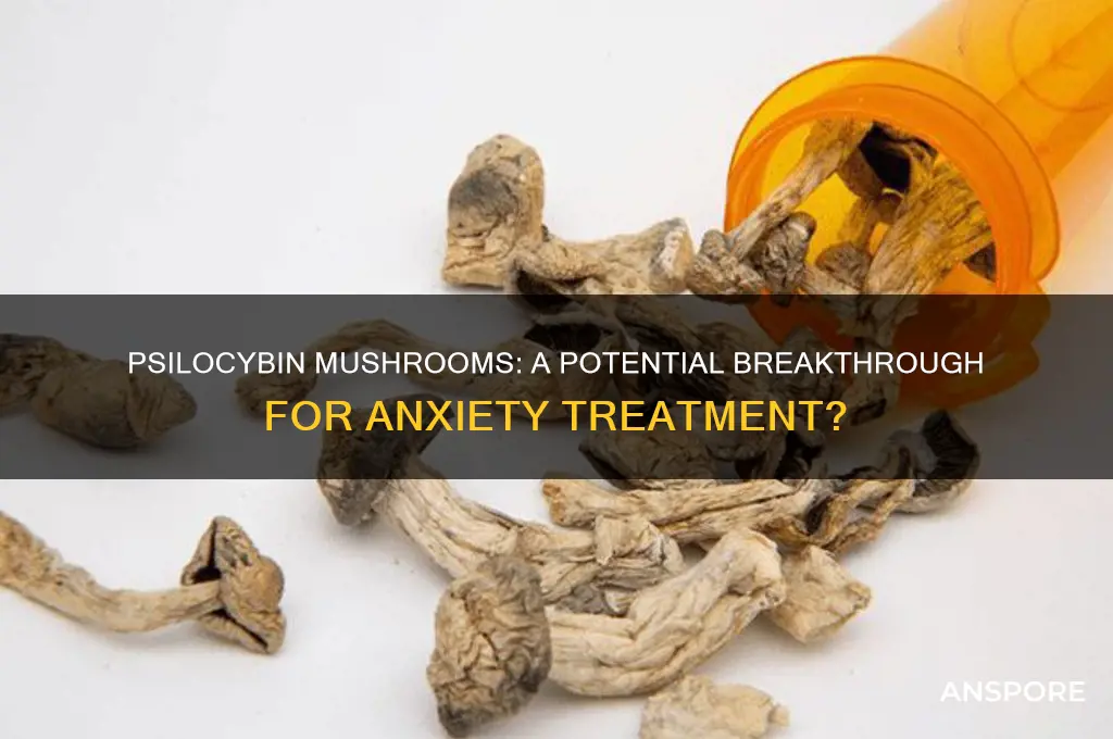 can psilocibin mushrooms treat anxiety