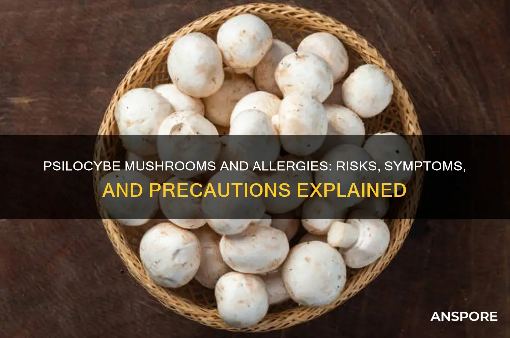 can psilocybe mushrooms be allergic