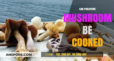 Cooking Psilocybe Mushrooms: Safe Methods and Culinary Possibilities