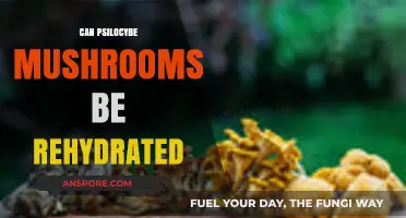 Rehydrating Psilocybe Mushrooms: Techniques, Benefits, and Safety Tips