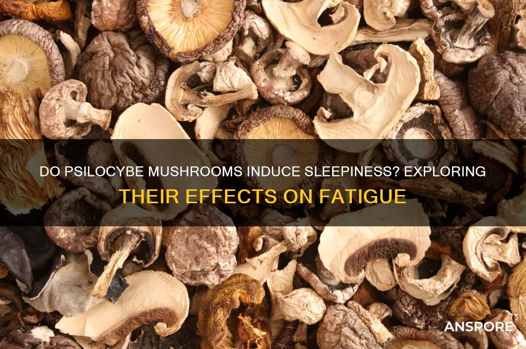 can psilocybe mushrooms make you sleepy