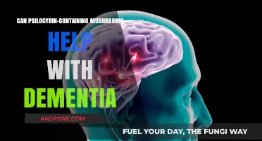 Exploring Psilocybin Mushrooms as a Potential Dementia Treatment Option