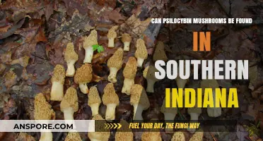 Exploring Southern Indiana: Are Psilocybin Mushrooms Present in the Region?