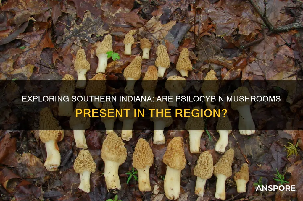 can psilocybin mushrooms be found in southern indiana