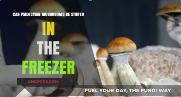 Freezing Psilocybin Mushrooms: Effective Storage Method or Risky Practice?