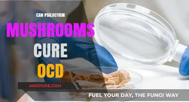 Psilocybin Mushrooms: Potential OCD Treatment or Just a Myth?