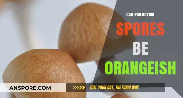 Are Psilocybin Spores Orange? Unveiling the Truth About Their Color