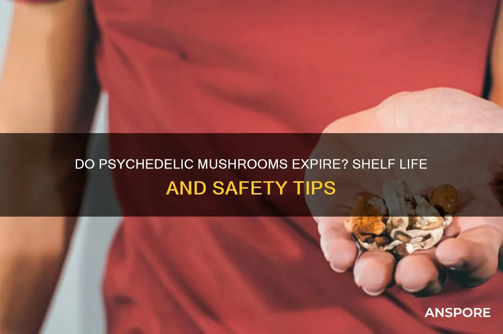 can psycadelic mushrooms go bad