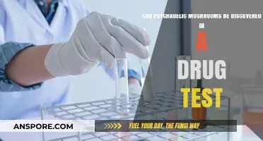 Do Psychedelic Mushrooms Show Up in Standard Drug Tests?