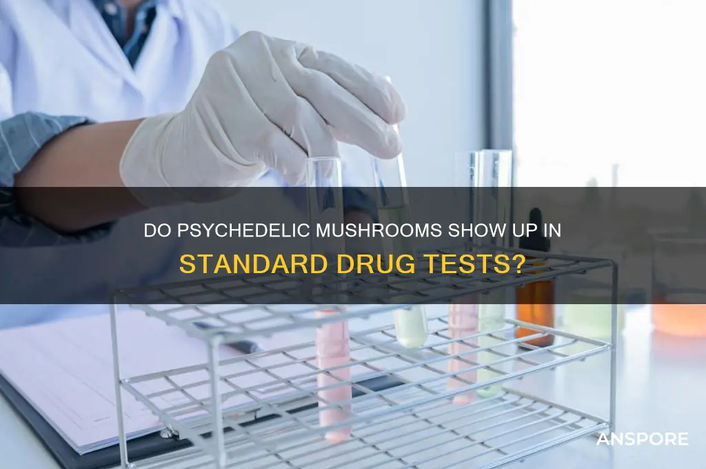 can psychadelic mushrooms be discovered in a drug test