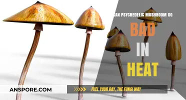 Do Psychedelic Mushrooms Spoil in Heat? Storage Tips Revealed