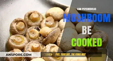 Cooking Psychedelic Mushrooms: Safe Methods and Culinary Considerations