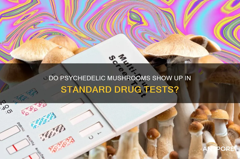 can psychedelic mushrooms be found in a drug test