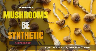 Synthetic Psychedelic Mushrooms: Unraveling the Science Behind Lab-Made Trips