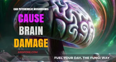 Psychedelic Mushrooms and Brain Health: Separating Fact from Fiction