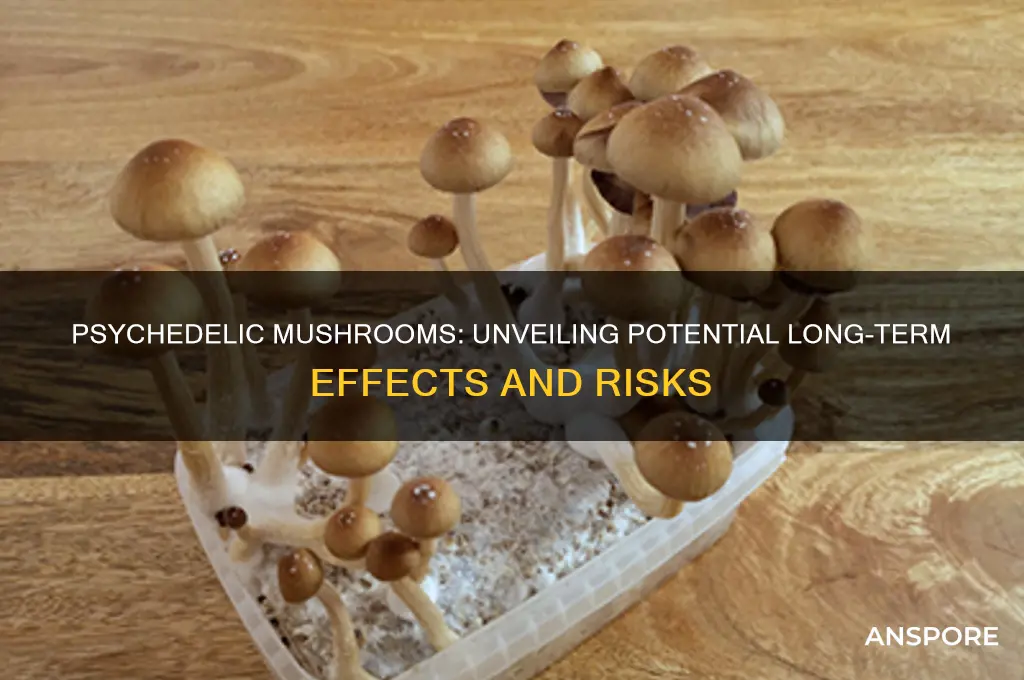 can psychedelic mushrooms cause permanent damage