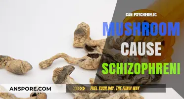 Psychedelic Mushrooms and Schizophrenia: Unraveling the Complex Relationship