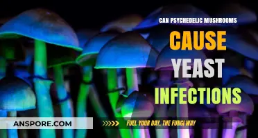 Psychedelic Mushrooms and Yeast Infections: Unraveling the Connection