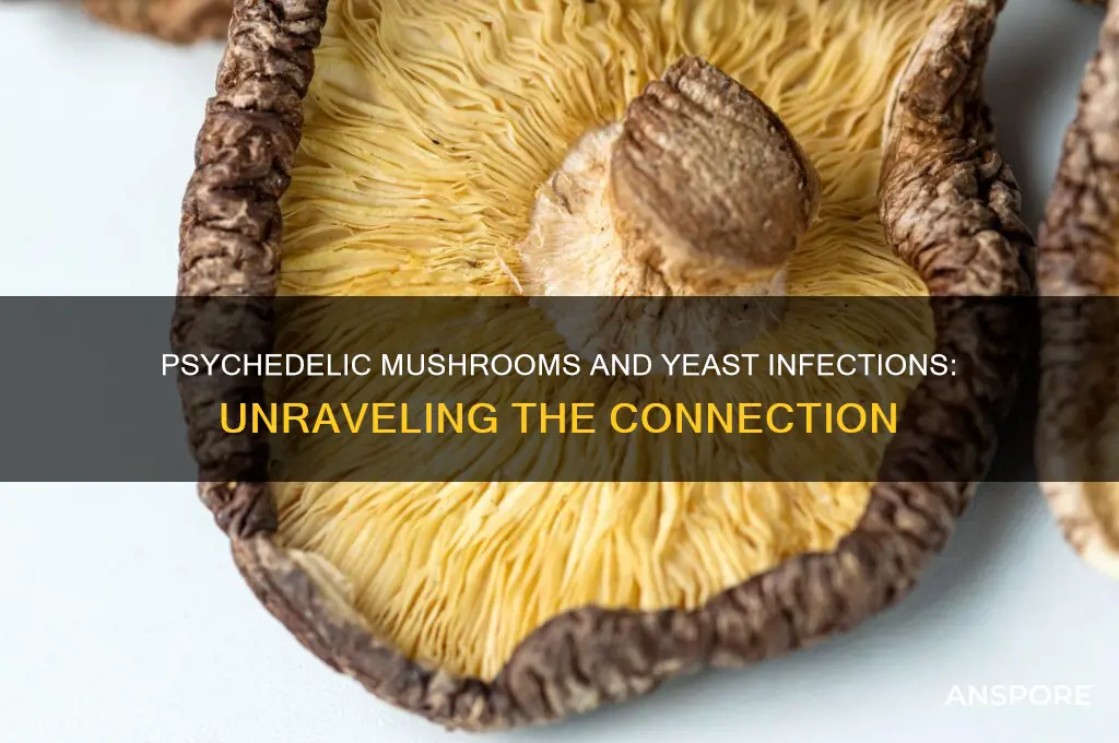 can psychedelic mushrooms cause yeast infections